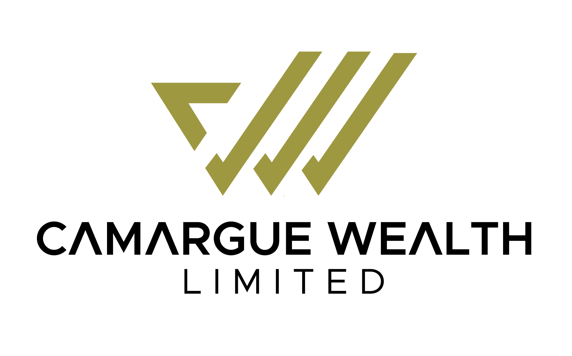 Camargue Wealth Logo